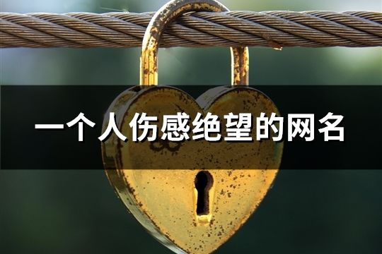 一個(gè)人傷感絕望的網(wǎng)名(精選718個(gè))