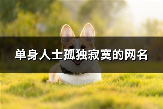 單身人士孤獨寂寞的網名(共923個)