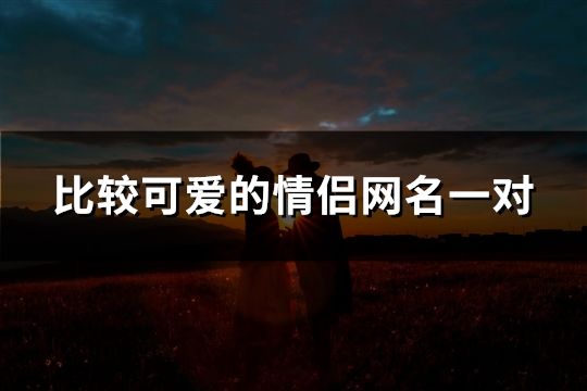 比較可愛的情侶網(wǎng)名一對(共289對)