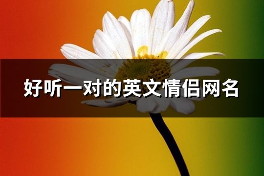 好聽一對的英文情侶網名(63對)