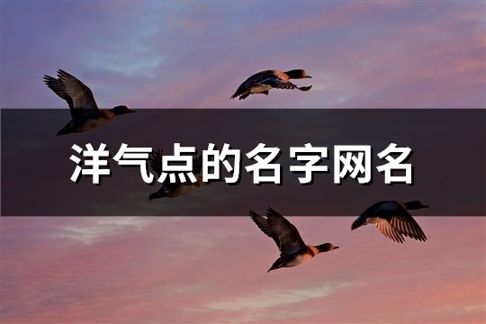 洋氣點的名字網名(共1604個)