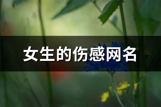 女生的傷感網(wǎng)名(691個(gè))