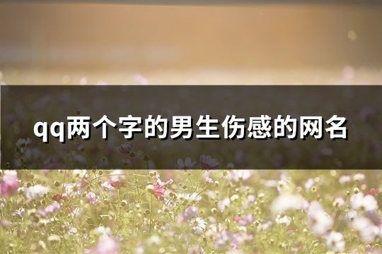 qq兩個字的男生傷感的網名(1174個)
