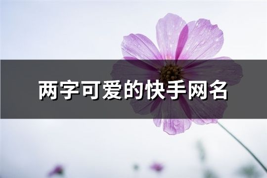 兩字可愛的快手網(wǎng)名(共1403個(gè))