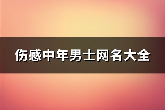 傷感中年男士網(wǎng)名大全(693個)