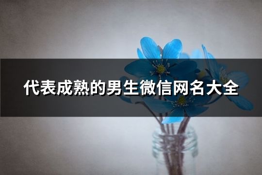 代表成熟的男生微信網名大全(1752個)