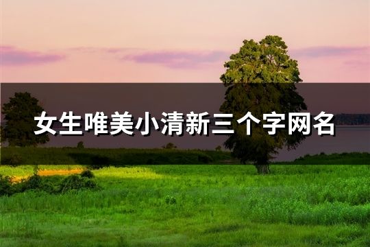 女生唯美小清新三個字網名(共569個)