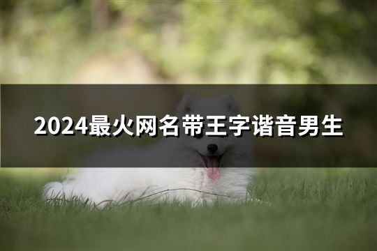 2024最火網名帶王字諧音男生(精選147個)
