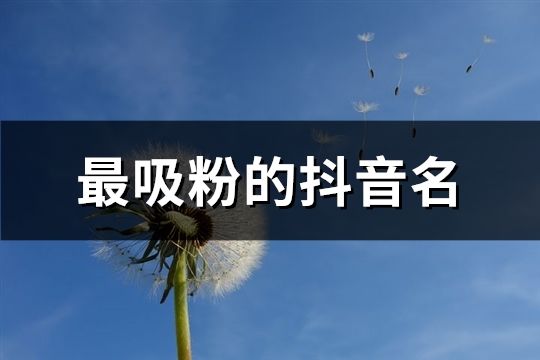 最吸粉的抖音名(1159個)