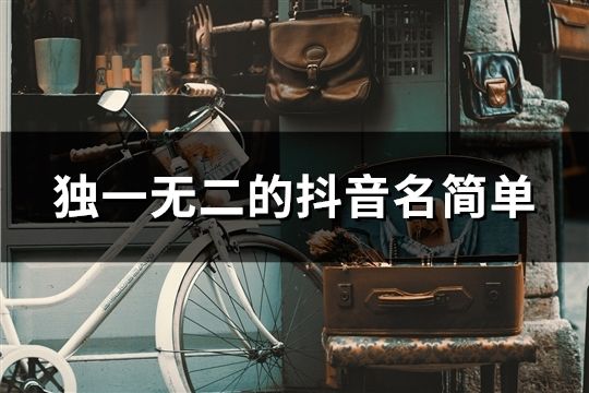 獨一無二的抖音名簡單(共1054個)