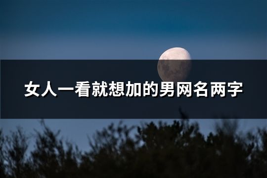 女人一看就想加的男網名兩字(共1261個)