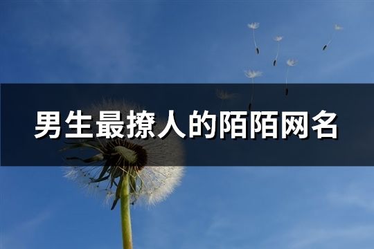 男生最撩人的陌陌網名(精選283個)