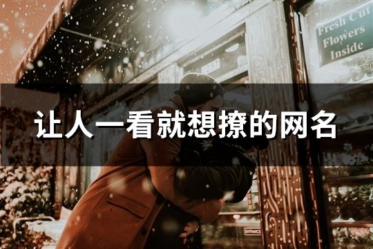 讓人一看就想撩的網(wǎng)名(共474個)