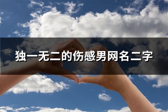 獨(dú)一無二的傷感男網(wǎng)名二字(精選977個)