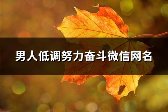 男人低調努力奮斗微信網名(共336個)
