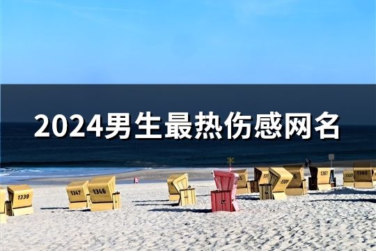 2024男生最熱傷感網(wǎng)名(精選999個)