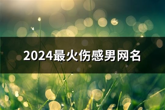 2024最火傷感男網名(精選857個)