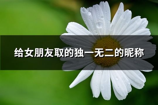 給女朋友取的獨一無二的昵稱