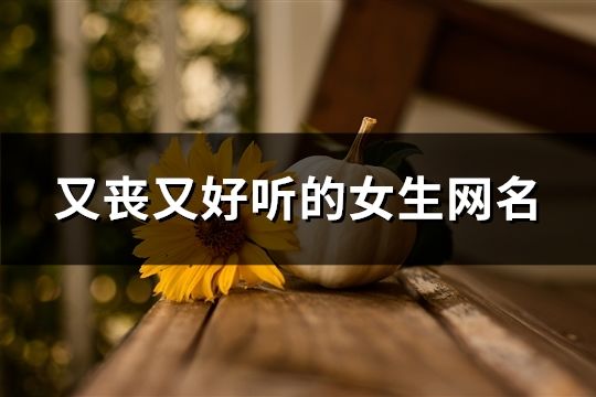 又喪又好聽的女生網(wǎng)名(精選292個(gè))