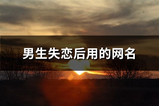 男生失戀后用的網名(共635個)