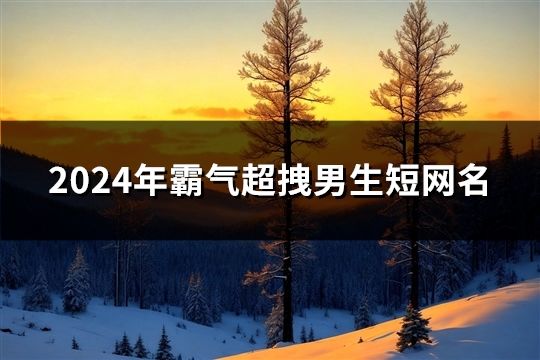 2024年霸氣超拽男生短網(wǎng)名(1467個)