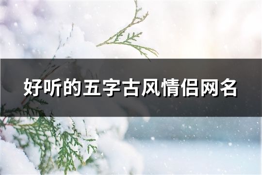 好聽的五字古風情侶網名(210對)