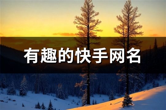 有趣的快手網名(共698個)