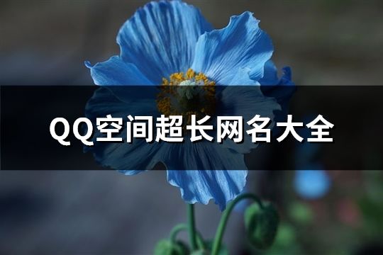 QQ空間超長網(wǎng)名大全(1303個)