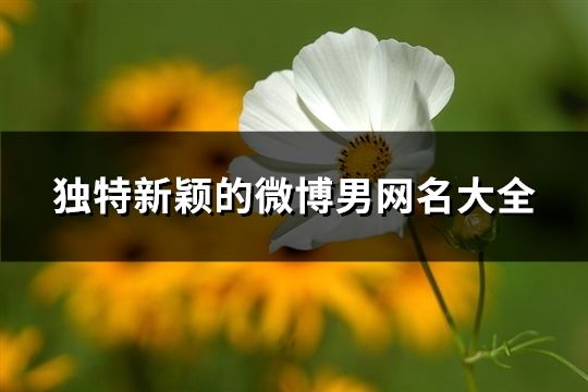 獨特新穎的微博男網名大全(343個)
