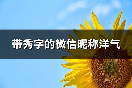 帶秀字的微信昵稱洋氣(精選62個)