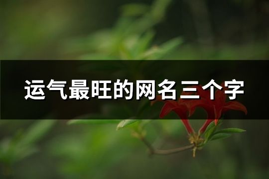 運氣最旺的網名三個字(458個)