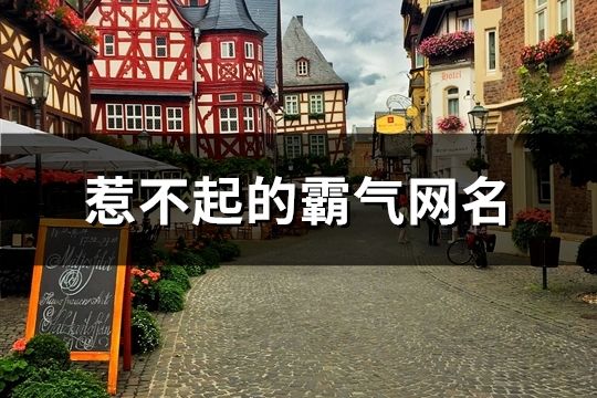 惹不起的霸氣網名(共1366個)