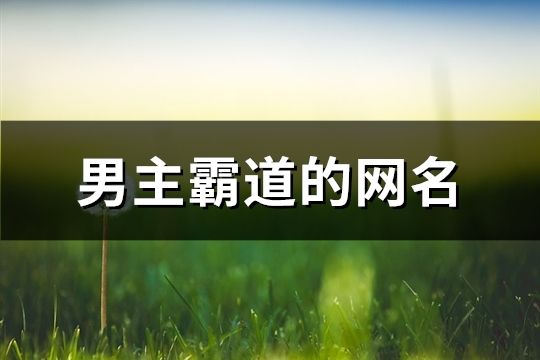 男主霸道的網名(精選1247個)