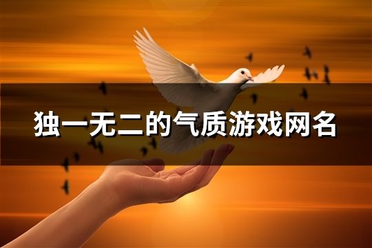 獨一無二的氣質游戲網名(1054個)