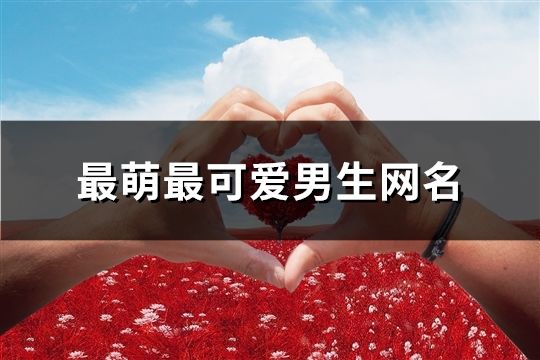 最萌最可愛男生網(wǎng)名(精選393個(gè))