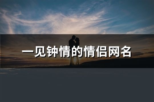 一見(jiàn)鐘情的情侶網(wǎng)名(181對(duì))