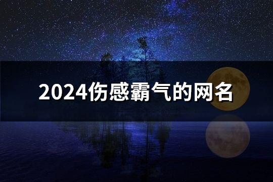 2024傷感霸氣的網名(1097個)