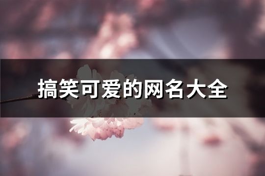 搞笑可愛的網名大全(共678個)