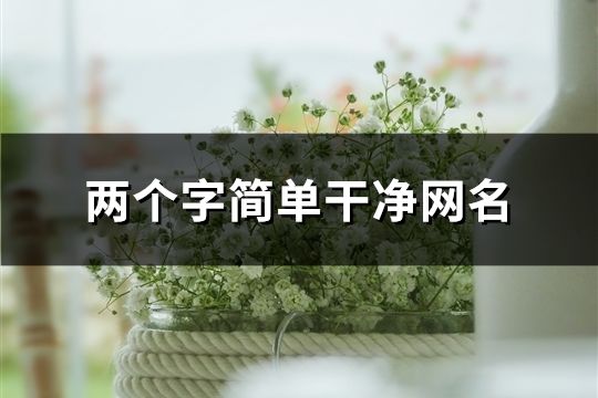 兩個(gè)字簡(jiǎn)單干凈網(wǎng)名(共856個(gè))