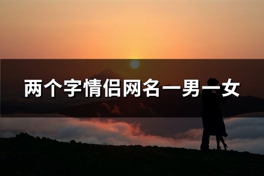 兩個字情侶網名一男一女(69對)