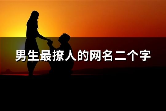 男生最撩人的網(wǎng)名二個(gè)字(共420個(gè))