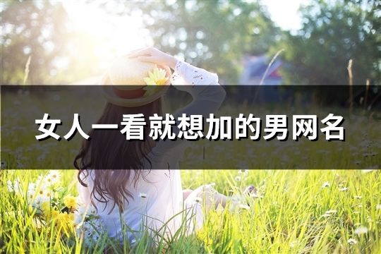 女人一看就想加的男網名(310個)