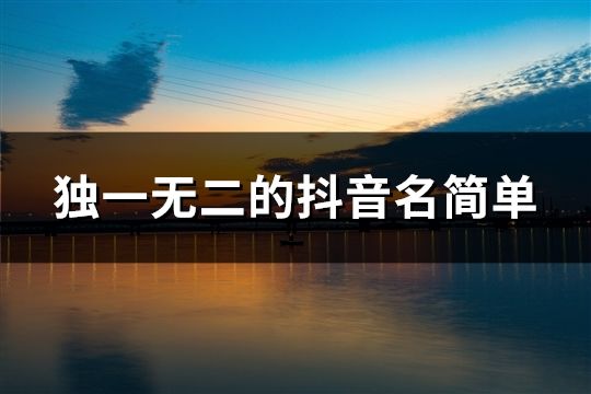 獨(dú)一無(wú)二的抖音名簡(jiǎn)單(共98個(gè))