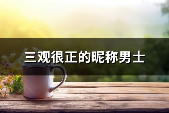 三觀很正的昵稱男士(共380個)