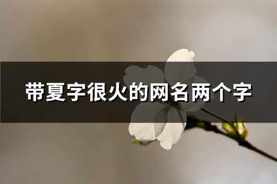 帶夏字很火的網名兩個字(137個)