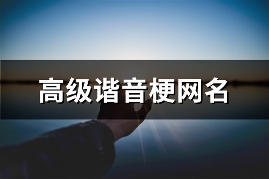 高級諧音梗網(wǎng)名(共142個)