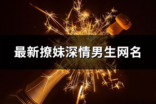 最新撩妹深情男生網(wǎng)名(精選532個(gè))