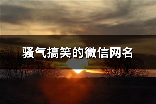騷氣搞笑的微信網名(精選391個)