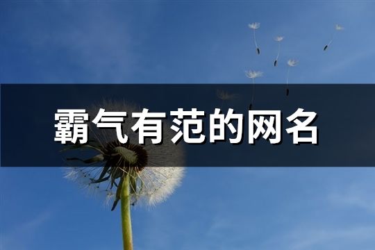 霸氣有范的網名(687個)