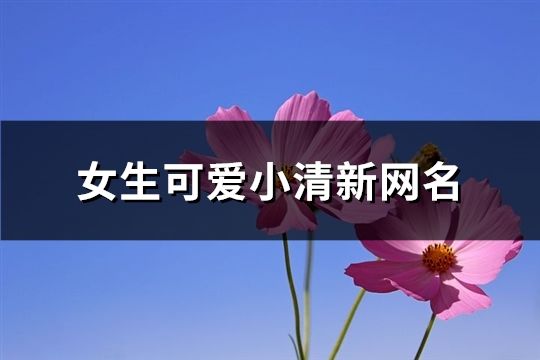 女生可愛小清新網(wǎng)名(精選628個)